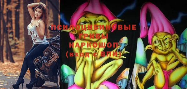 стаф Волоколамск