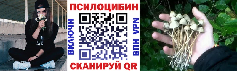 Псилоцибиновые грибы Psilocybine cubensis  Кущёвская 